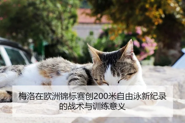 梅洛在欧洲锦标赛创200米自由泳新纪录的战术与训练意义